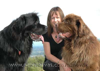 Newfoundlands Henry & Enzo with Michelle