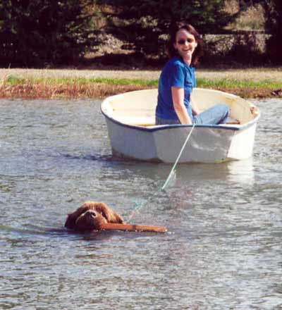 Wellington was a natural water dog